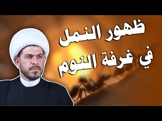 ⁣ظهور النمل في غرفة النوم  دليل على الحسد 
