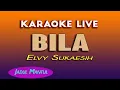 BILA  KARAOKE - ELVY SUKAESIH