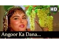 Lagu Sanam Bewafa - Angoor Ka Dana Hoon - kavita Krishnamurthy