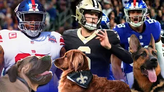 Play trivia and poll mini-games with friends, while you watch NFL Stars and Their Dogs | Super Bowl Special (2023). Puppy love scores a touchdown!