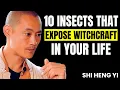 Download Lagu 10 Insects That Warns You Of WITCHCRAFT In Your Life- || Shi Heng Yi Motivational Speech