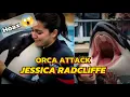 Viral paus orca yang menyerang pelatih nya sendiri, Jessica Radcliffe‼️#seputarsatwaalam 