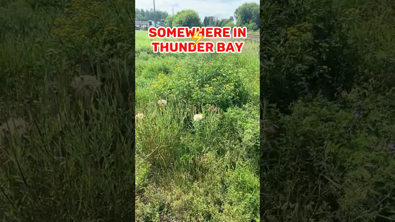 Somewhere in Thunder Bay (EN)