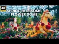 Inside the World s LARGEST Flower Dome Spring Blossoms 2026 at Gardens by the Bay Singapore 4K