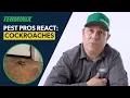Terminix Pest Pros React Cockroaches in the home
