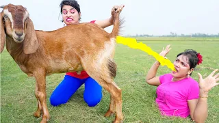 eid spacial nagin comedy video top new nagin best funny video don t miss this ep 387 by busy fun ltd
