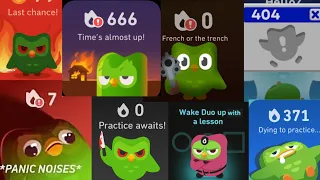 DUOLINGO WIDGETS but they get progressively WORSE extreme edition