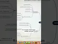 This AI turns any text or content into an interactive mind map