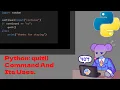 Python How To Use The quit Command