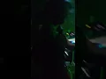 Download Lagu dj wawan club neo eden