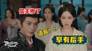 【百花杀】信王造反？郡主早有后手，反击来得太快！｜何与、孟子义