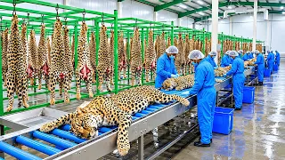 Inside a Futuristic Luxury Factory: From Exotic-Pattern Leather to Shoes, Purses, Belts & Jackets