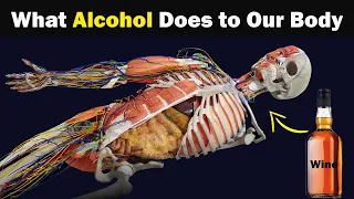 Download Why we should not drink Alcohol MP3