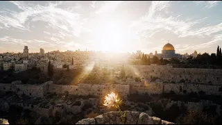 زهرة المدائن 