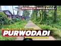 Download Lagu Desa Terpencil Banyuwangi! Menyusuri Indahnya Jalur Menuju Kampung Purwodadi di Lereng Gunung Raung!