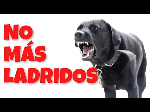 Download MP3 Callar Perros que Ladran con Ultrasonido - Efectivo 100 ✅ - 5 HORAS