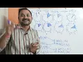 1 Bit Sliding Window protocol One Bit Sliding Window protocol Data link layer Computer networks