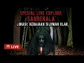 Download Lagu Live misteri malam ini‼️SANDEKALA DI LOKASI KERAJAAN SILUMAN ULAR‼️