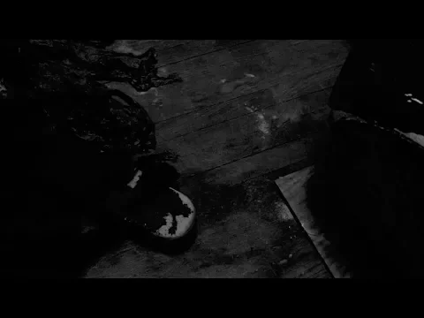 Weightless Bird In A Falling Cage - Trailer