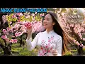 Lagu 🌼 Xuân 2026 – Giai Điệu Êm Dịu Ý Nghĩa Giúp Tâm Hồn Thư Thái 🎵