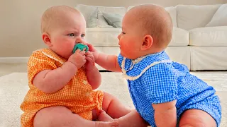 The Cutest & Funniest Twin Baby Moments 😂 Cute Wee