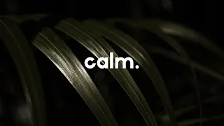 Calm Relaxing Sounds 