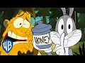 Download Lagu Looney Tunes | Bugs in the Wild | WB Kids