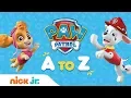 PAW Patrol from A to Z Learn to Read the Alphabet w the Pups PAW Patrol Nick Jr