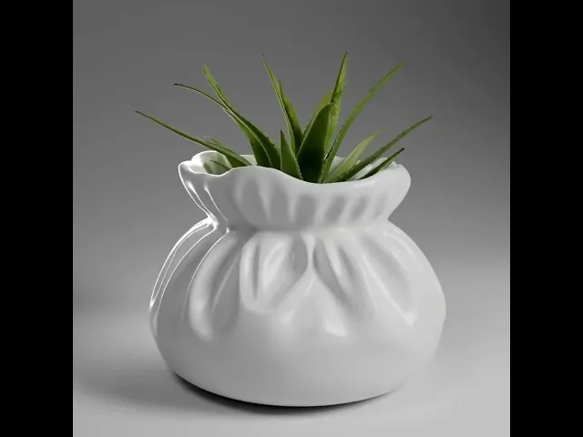 Pouch Planter 1 video thumbnail
