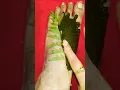 Lagu 🌿❤️Simple and easy Stylish Leaf Finger Mehndi Design❤️🌿#leafmehndi#youtubeshorts#mehndi#shots#hack