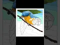 Zen Coloring 29 Relaxing Time-lapse Art Calm Your Mind with Beautiful Colors
