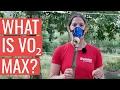 Download Lagu What Is VO2 Max And How Can You Increase It?