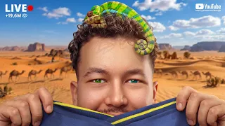 بث روبلوكس ❤️