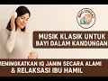 Download Lagu Musik Klasik untuk Bayi dalam Kandungan | Meningkatkan IQ Janin Secara Alami \u0026 Relaksasi Ibu Hamil