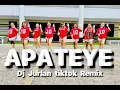 Download Lagu APATAYE - THAILAND APT / DJ JURLAN REMIX / TEAM BEREGUD