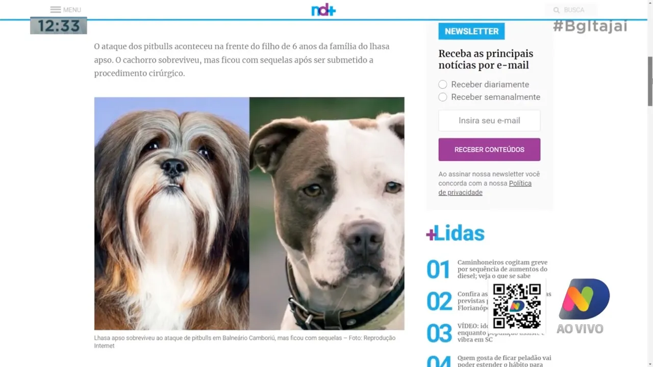 Dona de 2 pit bulls vai ter que pagar indenização para a família de um outro cachorro