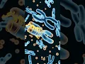 What is Genetic Code