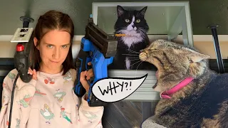 We FINALLY finished another cat wall for penny!