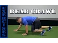 Exercise Bear Crawl