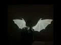 molly - forgotten remix (playboi carti)