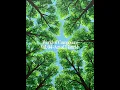 World of Composure — Vol. 04 | Act of Flourish (House Mix, Dance, Morning Light)