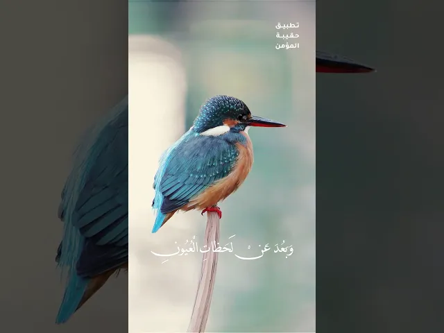 ⁣دعاء الصباح 