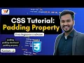 What is Padding in CSS CSS Padding Explained with Examples Box Model Tutorial Visionary Web