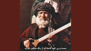 مست و بی خود گشته ام از رنگ میگون شراب 