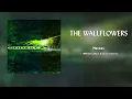 The Wallflowers - Heroes [HQ Audio]