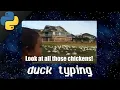 Python duck typing