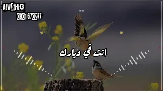 حالة واتساب روعة للفنان محمد حسين 2021 