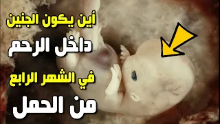 أين يكون الجنين في الشهر الرابع داخل الرحم 