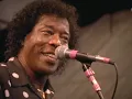 Buddy Guy - Mustang Sally / Sweet Little Angel / Feels Like Rain - 8/14/1994 - Newport Jazz