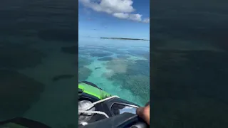 We found Paradise! 🤩